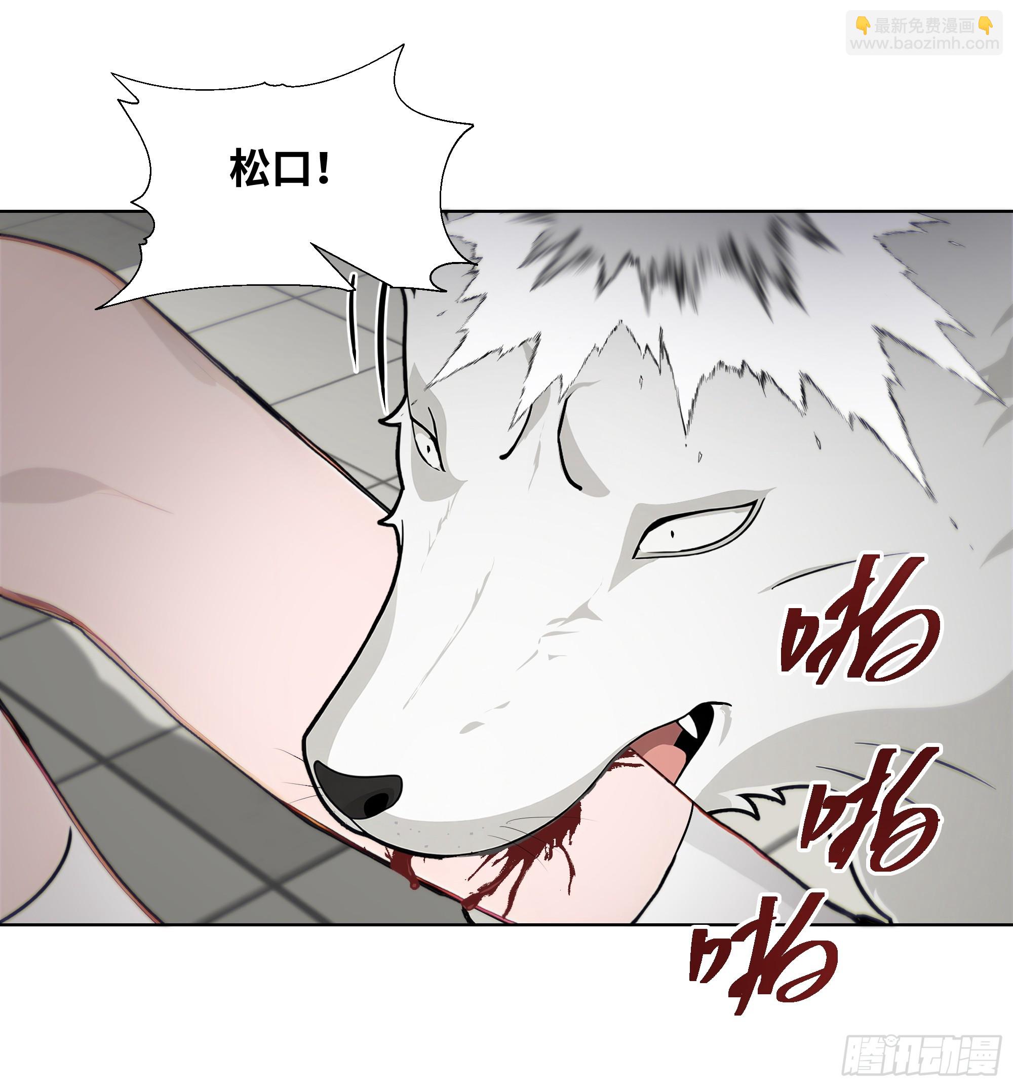 37   狗仗人势(1/2)-第37话