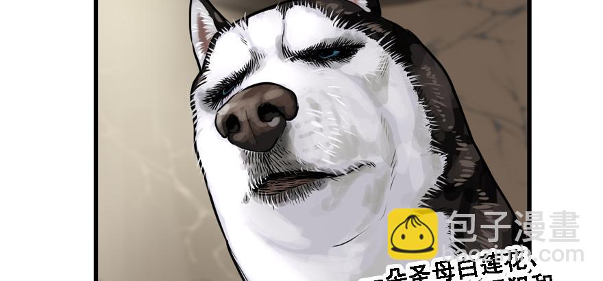 不能怂(1/2)-第67话