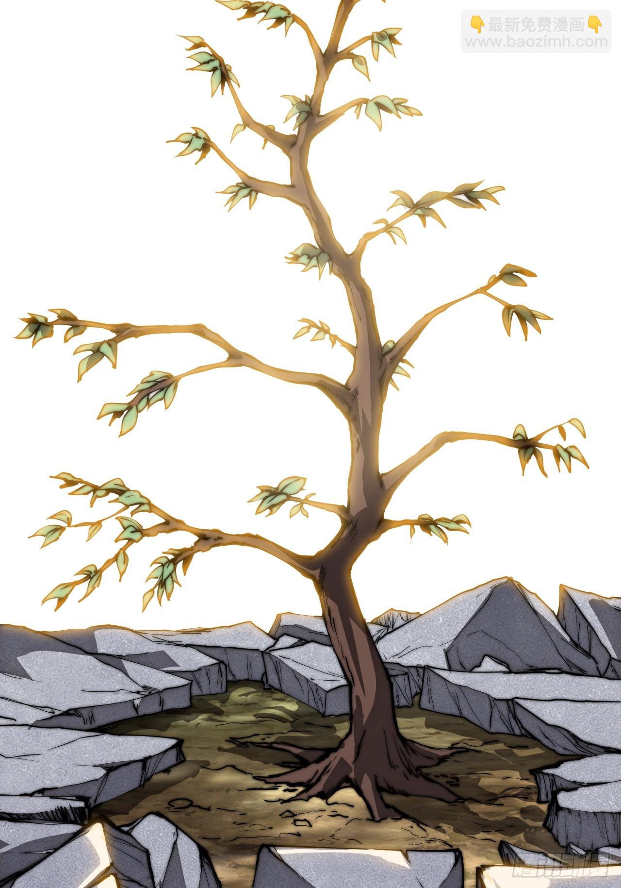 開局一座山 - 第一千一百六十四話：豪邁新時代 - 6