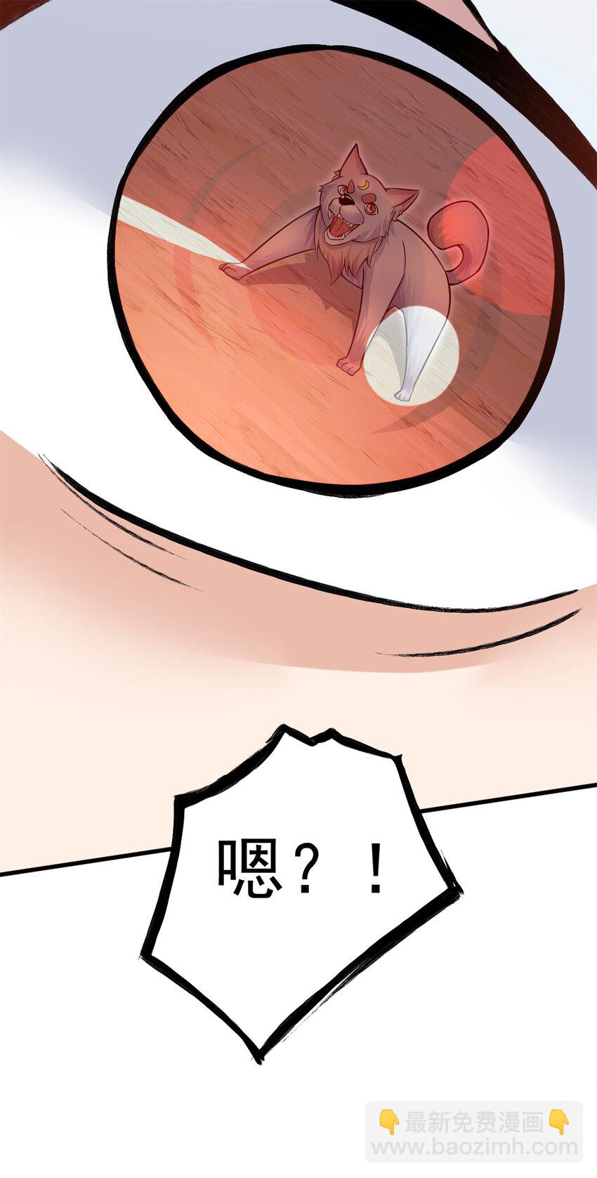 第16话 妖！妖！切克闹？-第17话