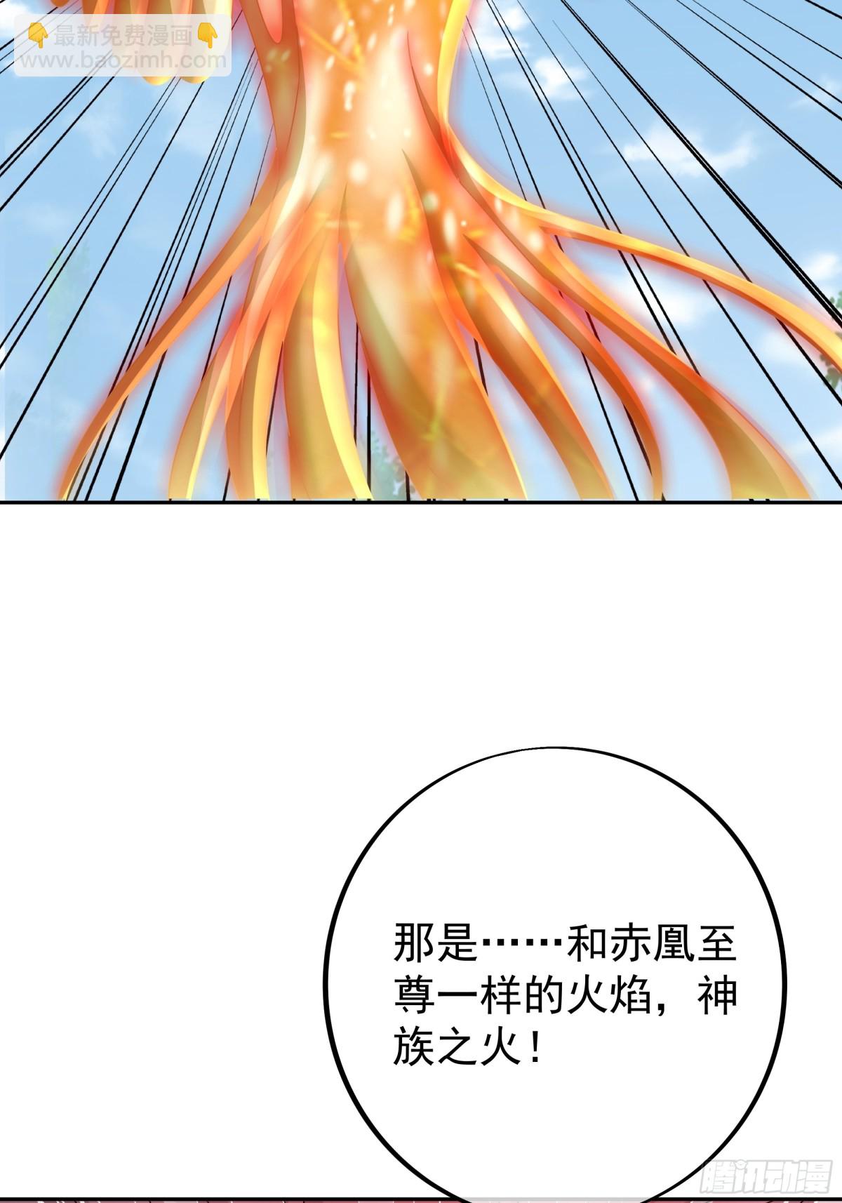 神兽之力(1/2)-第153话