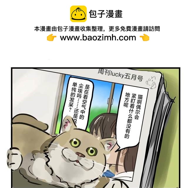 カコミスル老師四格合集 - 貓在看 - 1