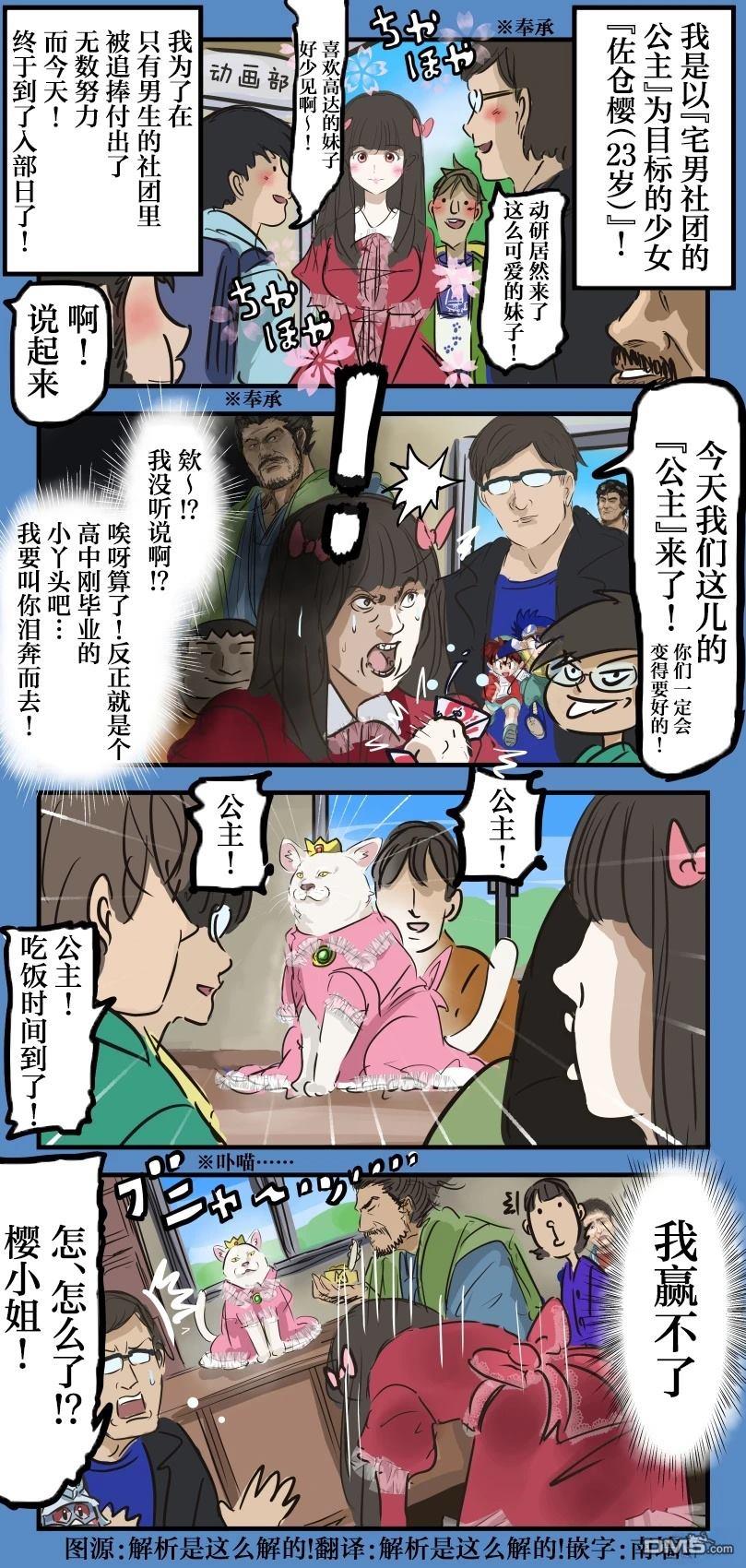カコミスル老師四格合集 - 貓社團的公主 - 1