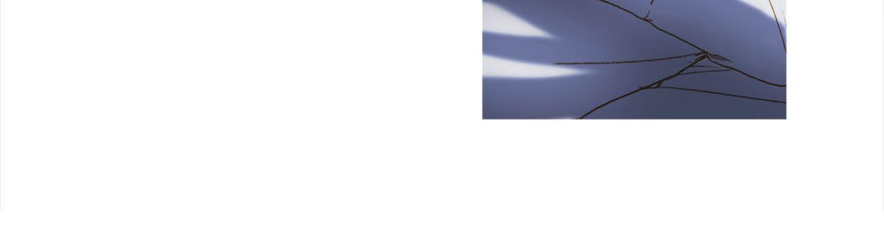 第39话 一同参军(1/3)-第39话