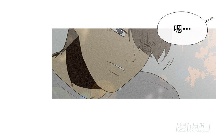 爱的收容所-第43话