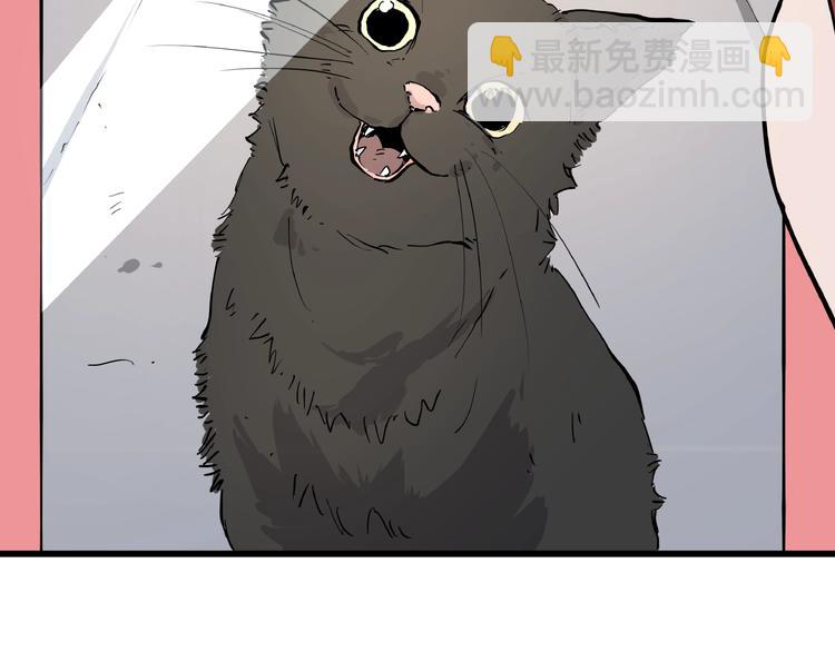 第1话 黑猫之疑(1/3)-第1话