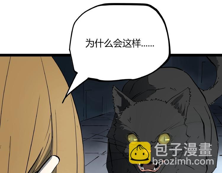 第1话 黑猫之疑(1/3)-第1话