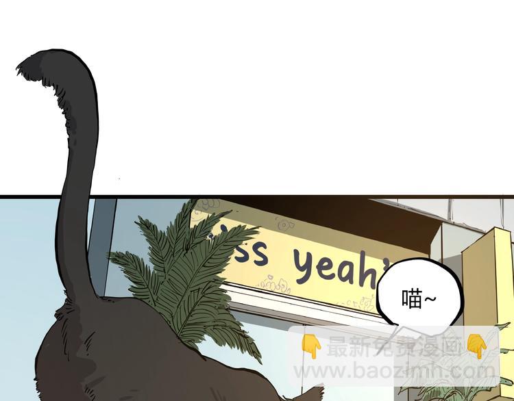 第1话 黑猫之疑(1/3)-第1话