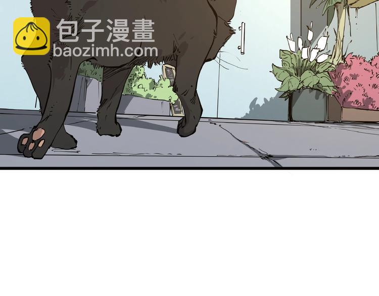 第1话 黑猫之疑(1/3)-第1话