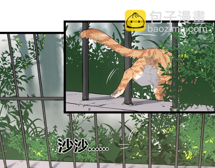 第3话 无声之生(1/2)-第3话