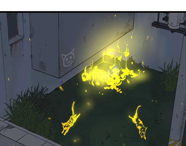 第5话 猫尸之谜(1/3)-第5话