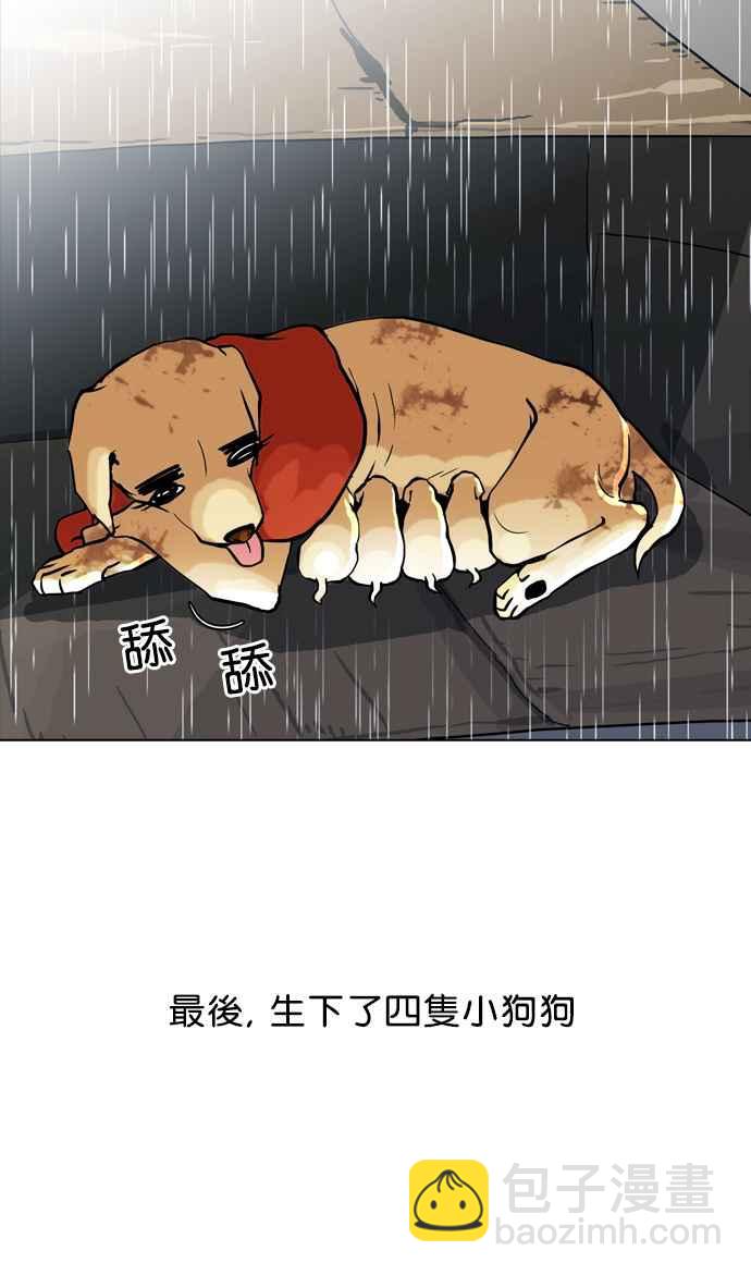 看臉時代 - [第61話] 流浪犬 - 伊奴（4） - 8