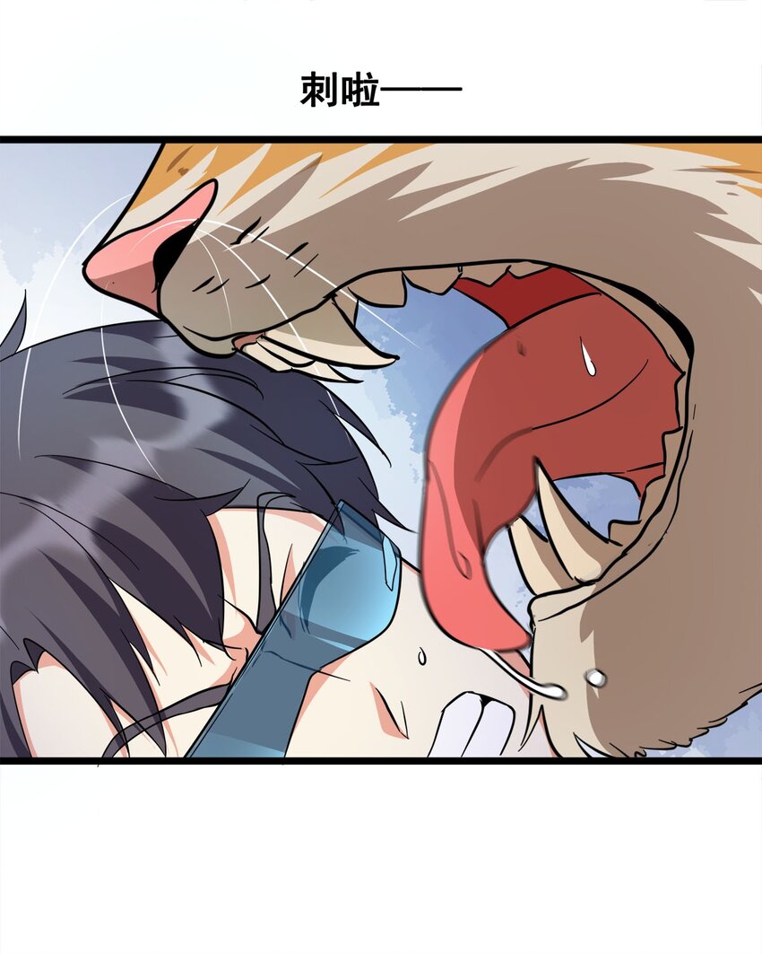 027 两只老虎跑得快(1/2)-第27话