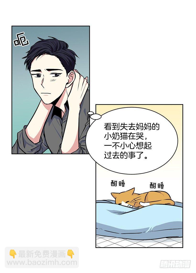 第21话（下）-第43话