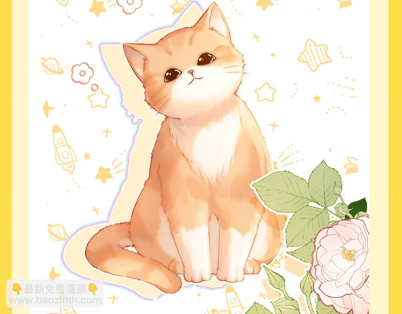 第20期 特别企划：橘子的家人观察日记-第39话