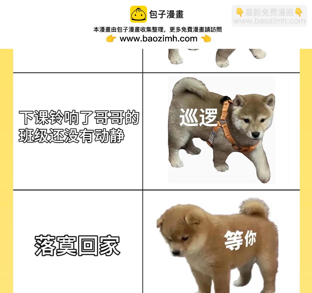 第32期 整活企划：来看一波烂梗~-第53话