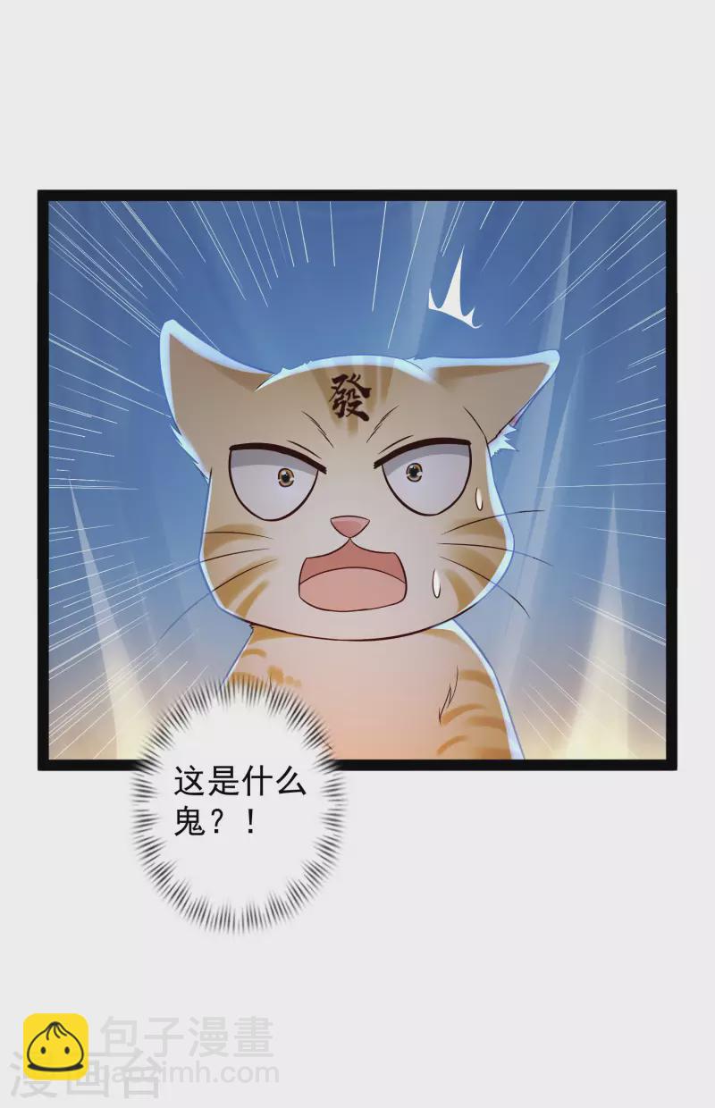 第65话 你这个小机灵喵~-第71话