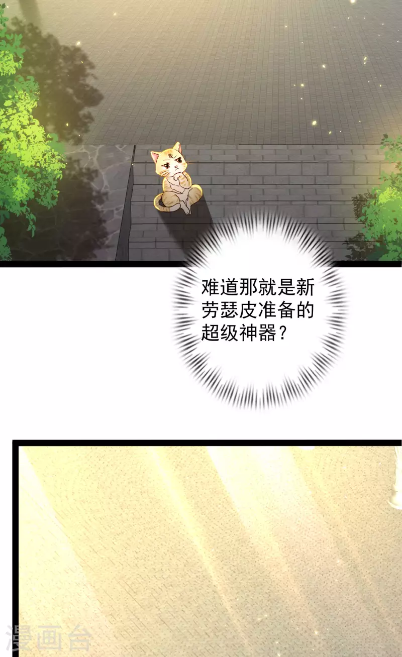 第65话 你这个小机灵喵~-第71话