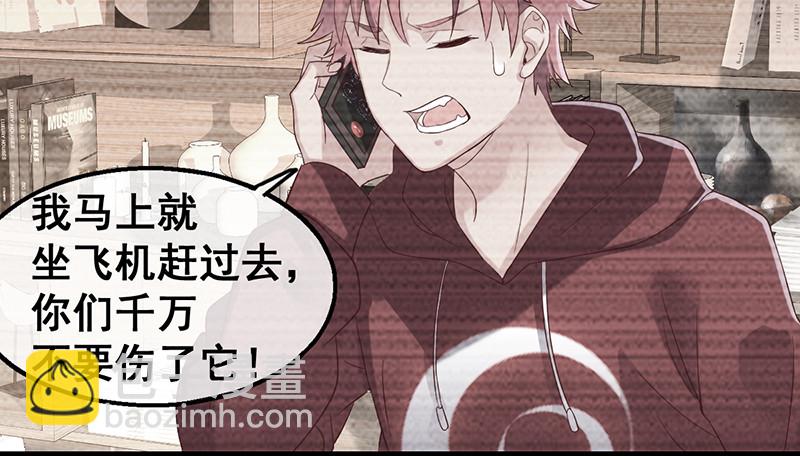 阴暗中的敌人(1/4)-第77话