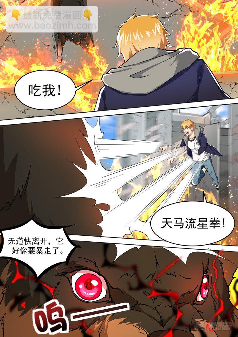 第十话 暴走的黑金狼王-第11话