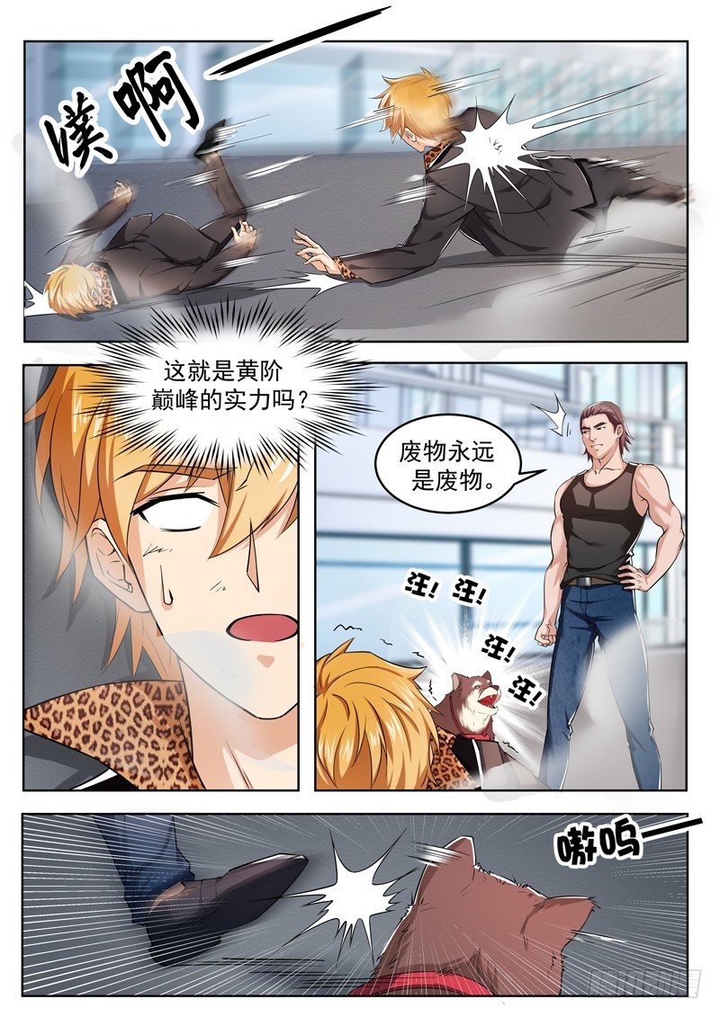 第二话 玄阶之下我第一-第3话