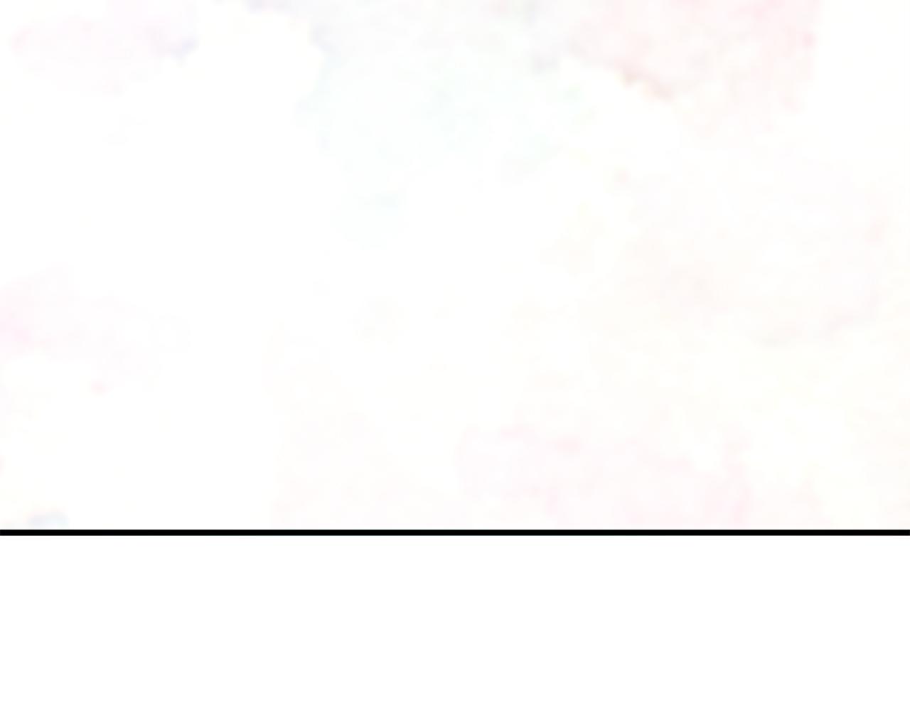 第45话 来到皇都(1/6)-第45话