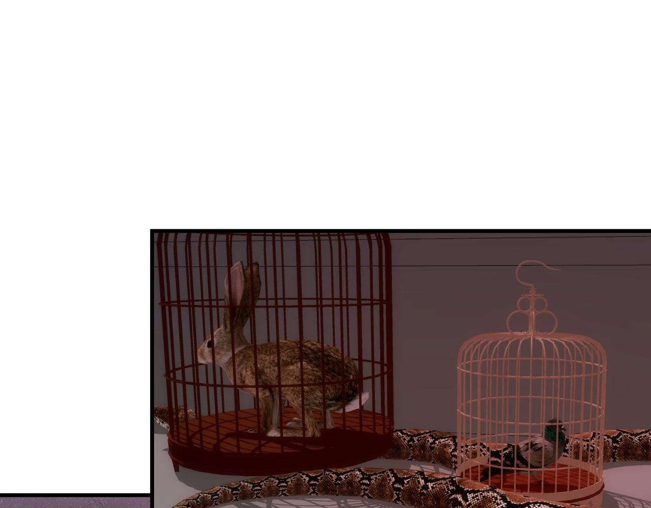 11是妖物吗？(1/2)-第11话