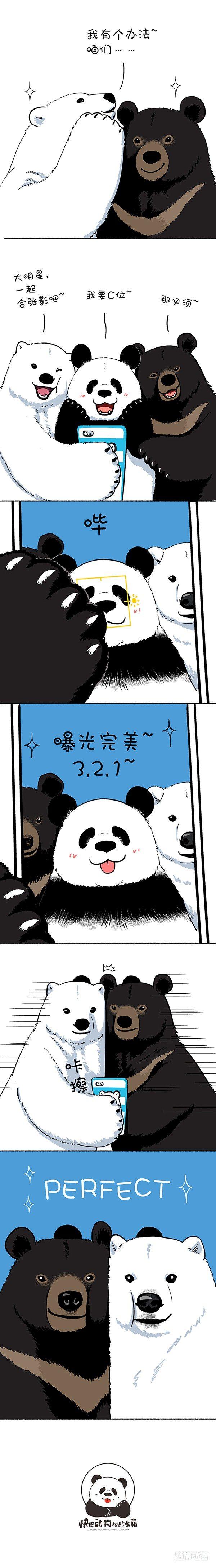 快把動物放進冰箱 - 118118自拍技巧之曝光 - 1