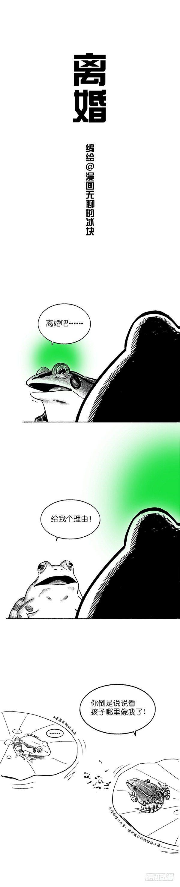 快把動物放進冰箱 - 017離婚 - 1