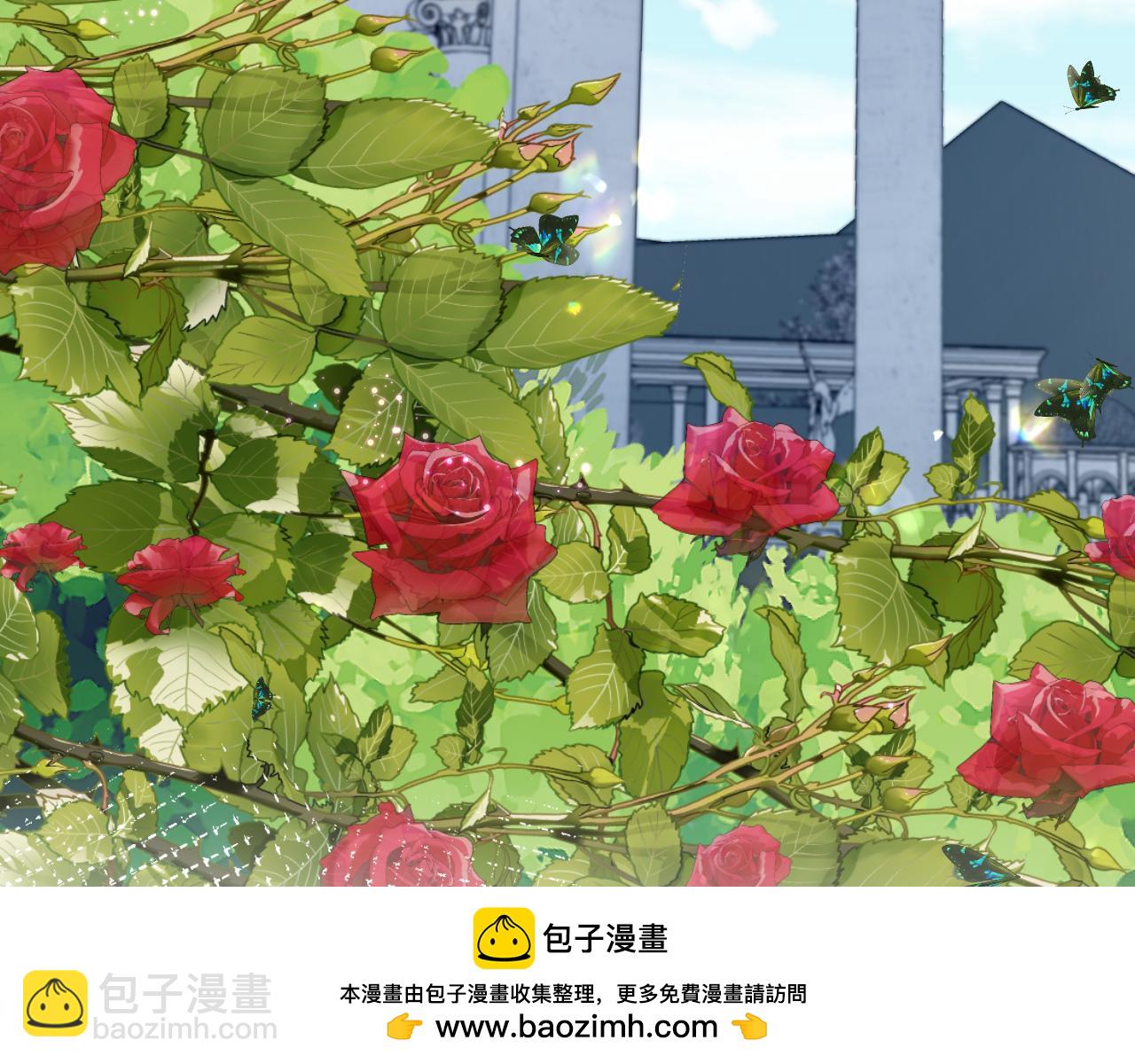 【快穿】絕美白蓮在線教學 - 233花園裡沒人看見(2/3) - 4