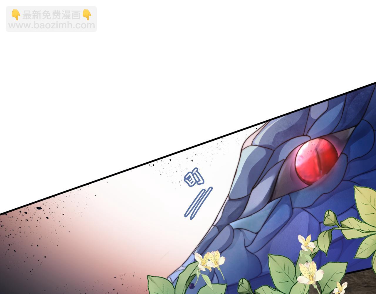 快穿女配冷靜點 - 第167話 抉擇(1/3) - 5