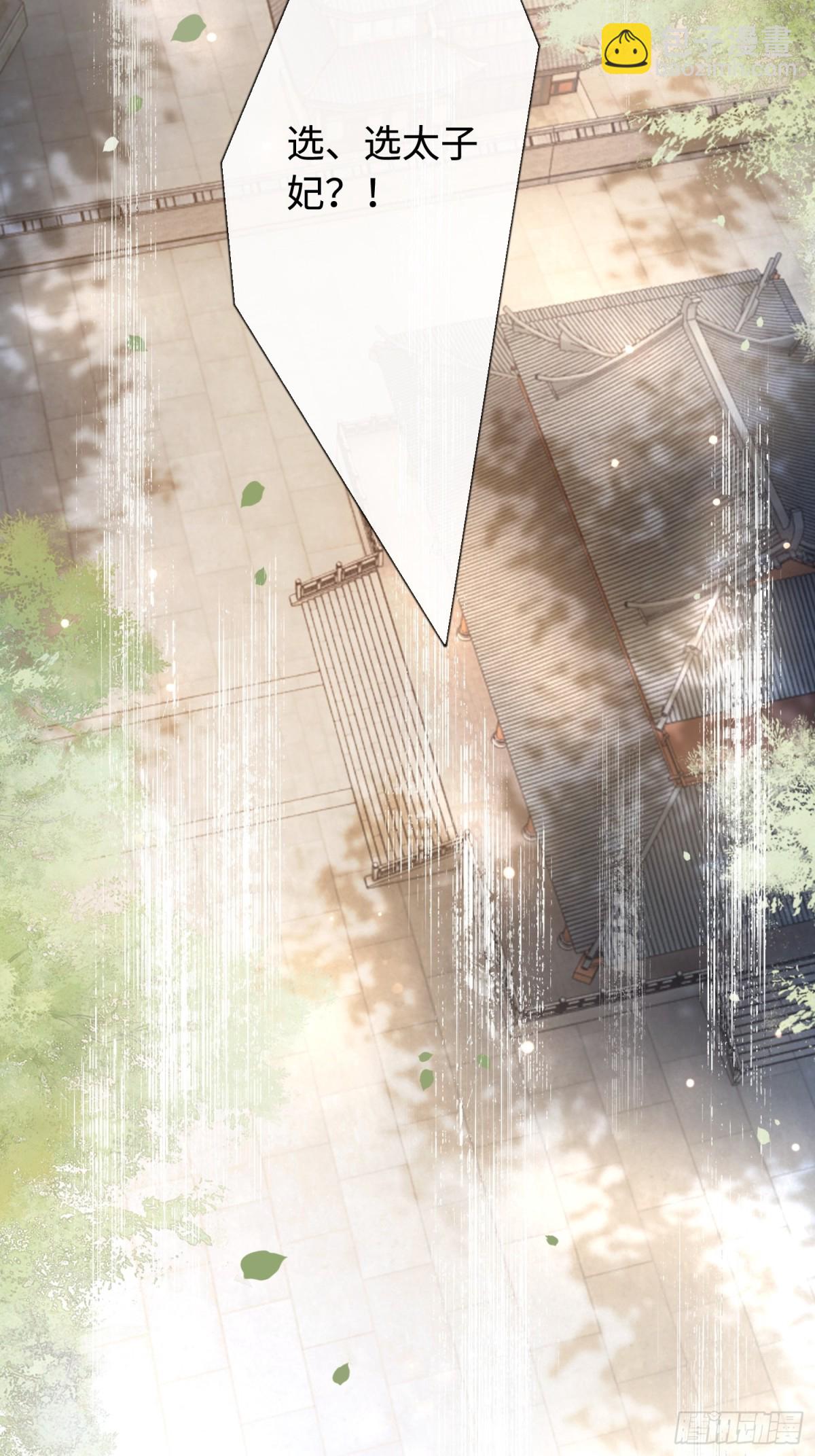 25 选太子妃-第25话