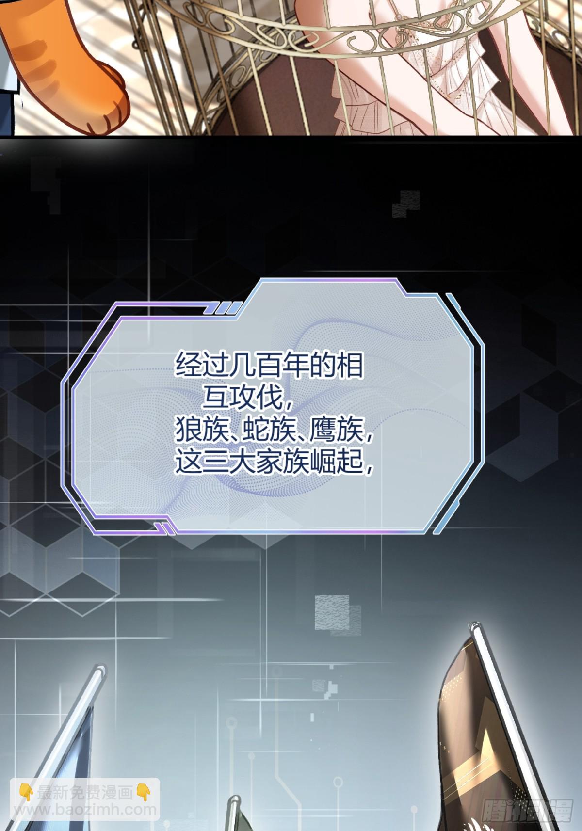 39 兔兔成了拍卖品？！(1/2)-第39话