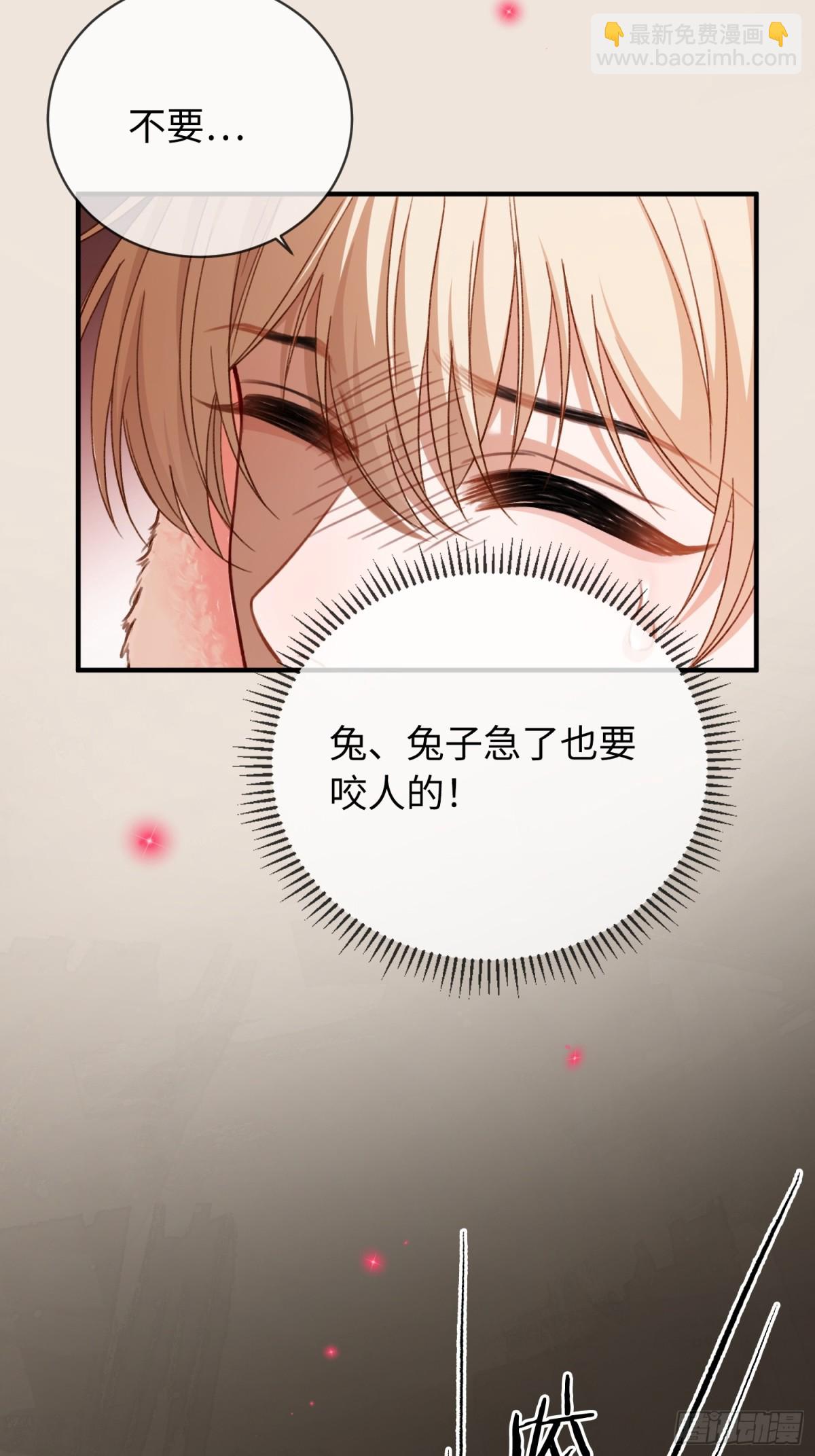 41 兔子急了也咬人(1/2)-第41话