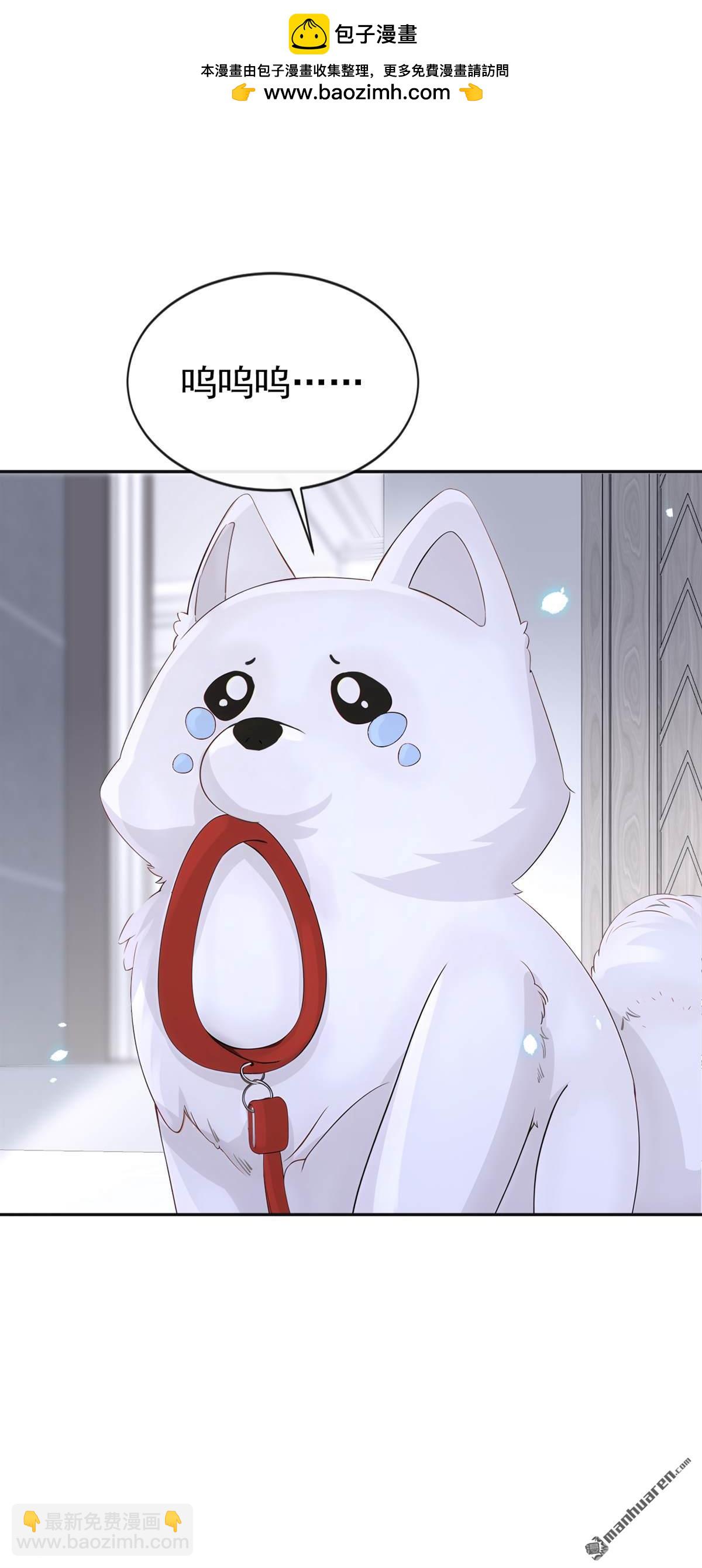 第111回 我不接受那种肾源-第111话