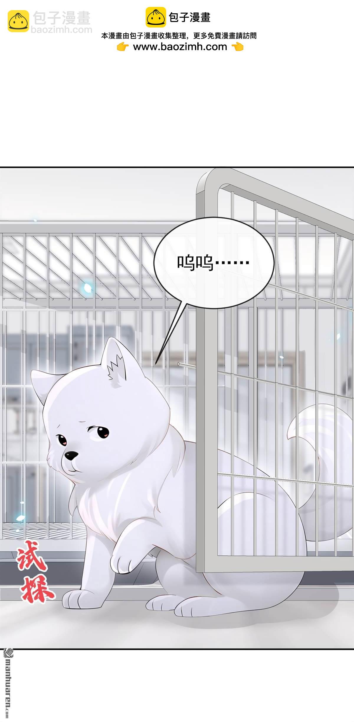 第115回 叫我宝宝-第115话