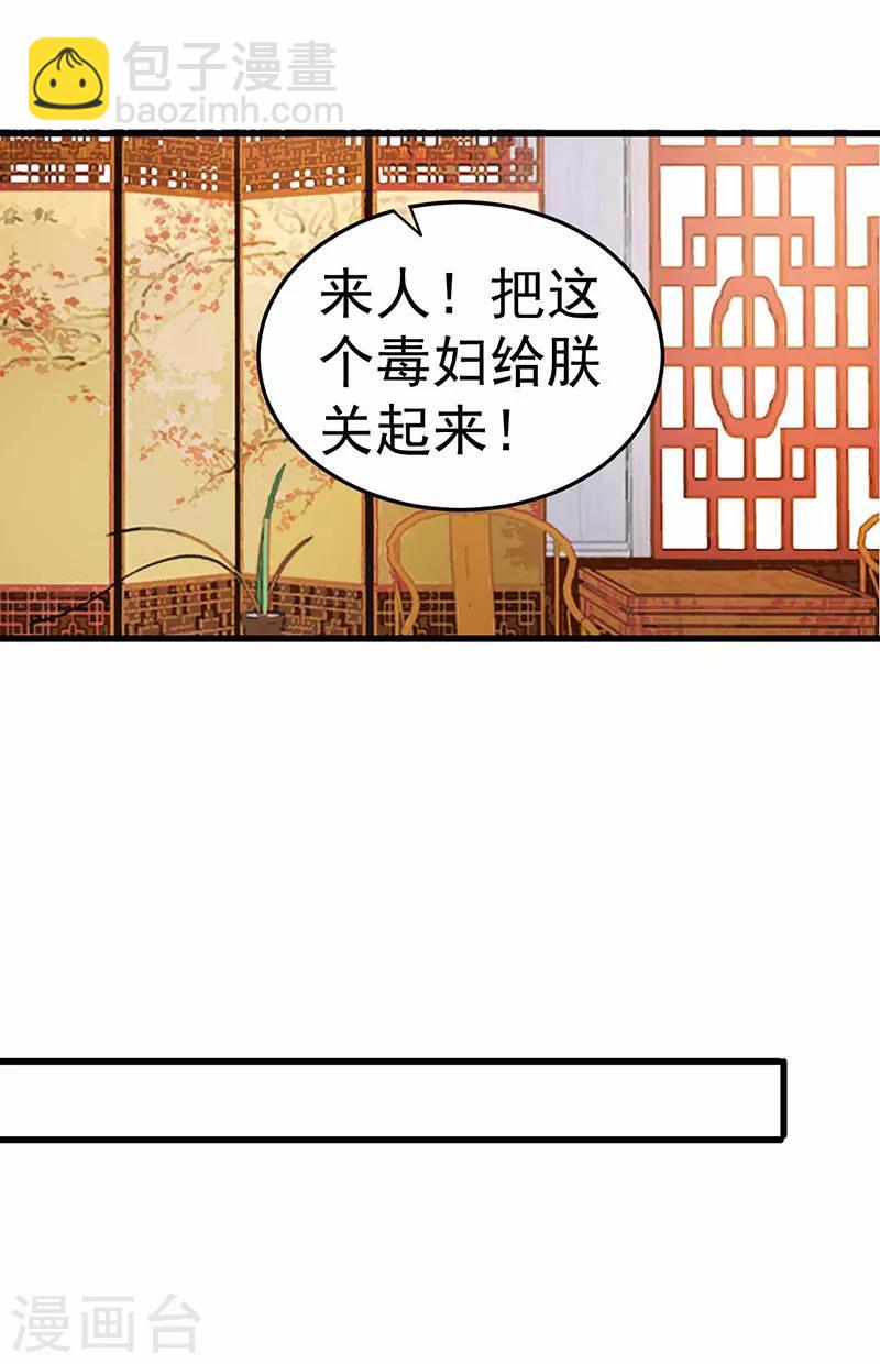 狂女重生：纨绔七皇妃 - 第150话 毒妇 - 4