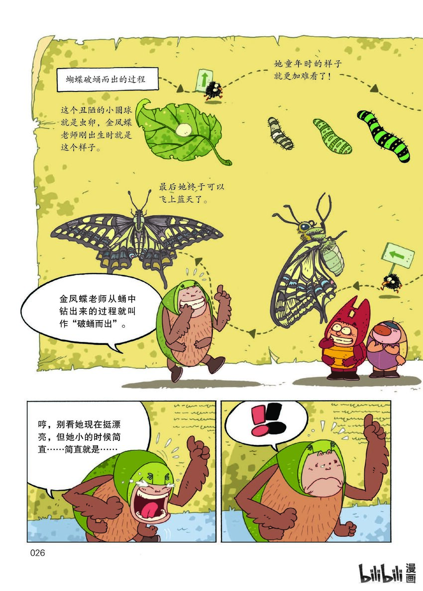 酷虫学校·科普漫画 - 1 试读·狼蛛来当插班生(1/4) - 3