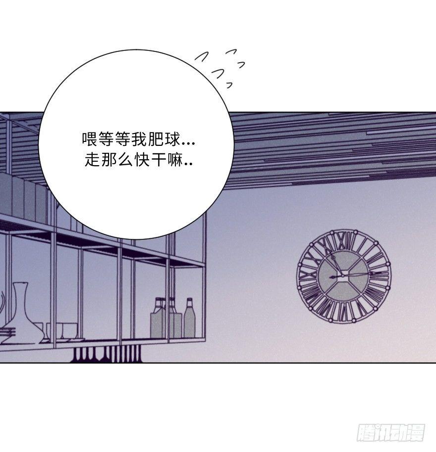 重逢(1/2)-第43话