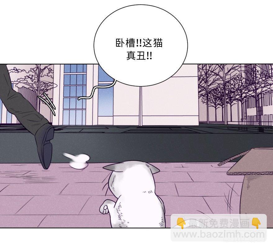 番外/丑小毛(1/2)-第59话