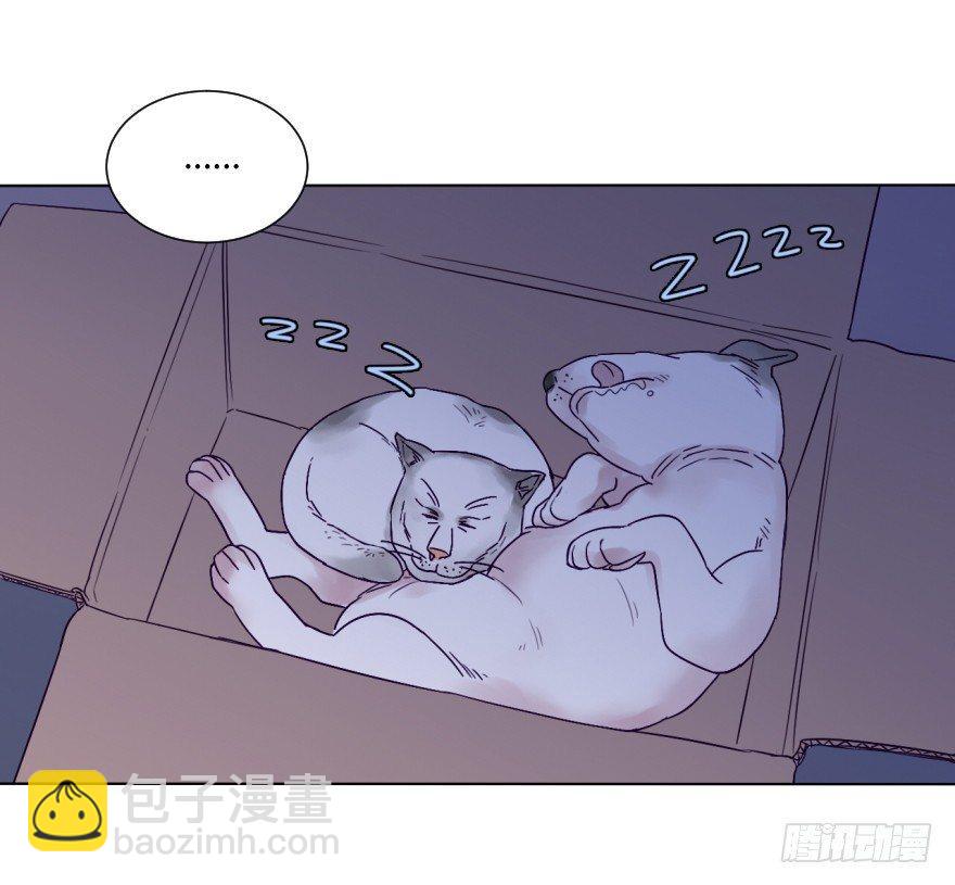 番外/丑小毛(1/2)-第59话