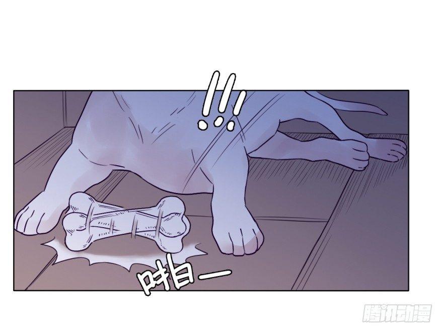 番外/丑小毛(1/2)-第59话