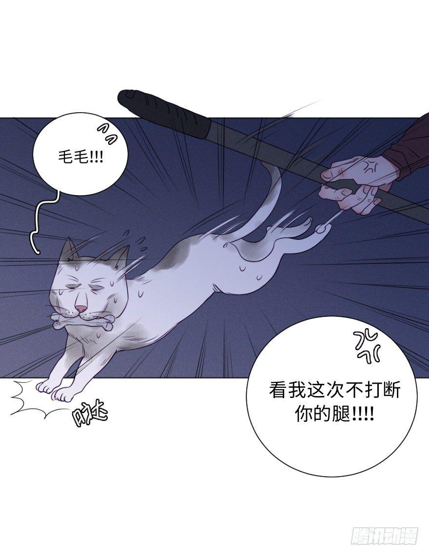 酷大叔的戀愛物語 - 番外/醜小毛(1/2) - 5