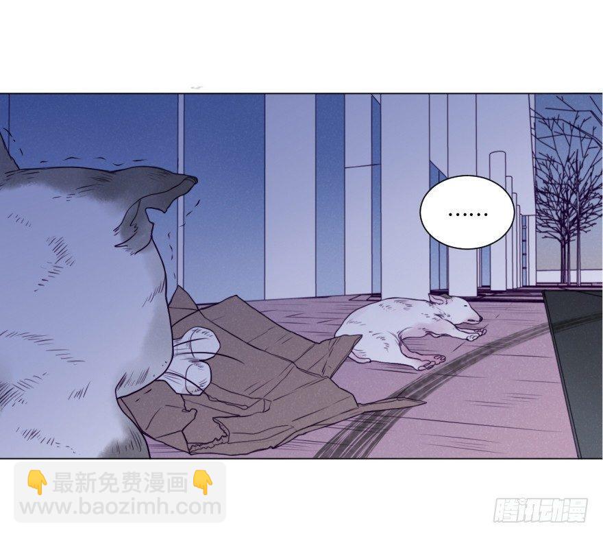 番外/丑小毛(1/2)-第59话