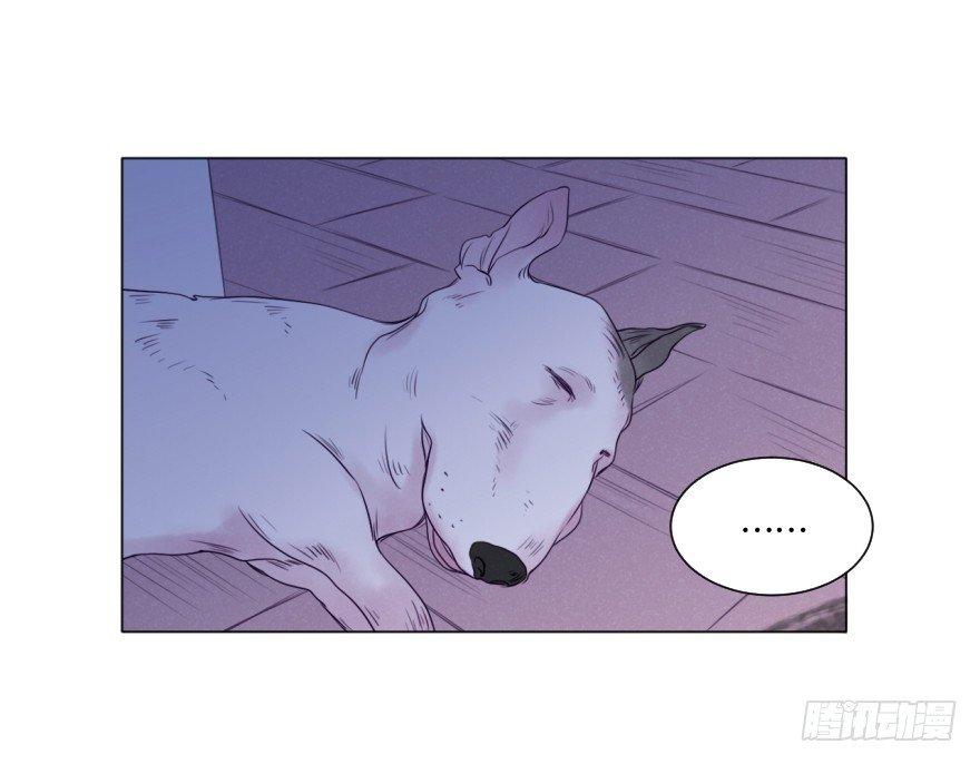 番外/丑小毛(1/2)-第59话