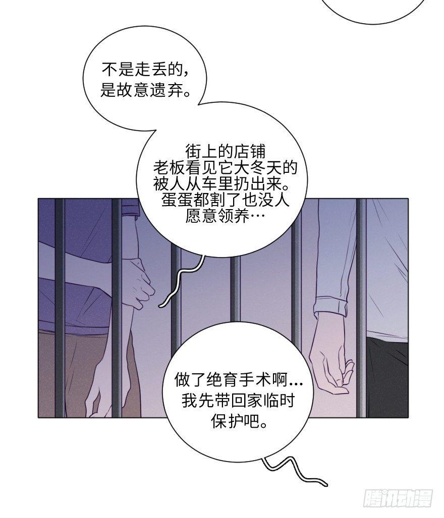 酷大叔的戀愛物語 - 番外/醜小毛(2/2) - 5