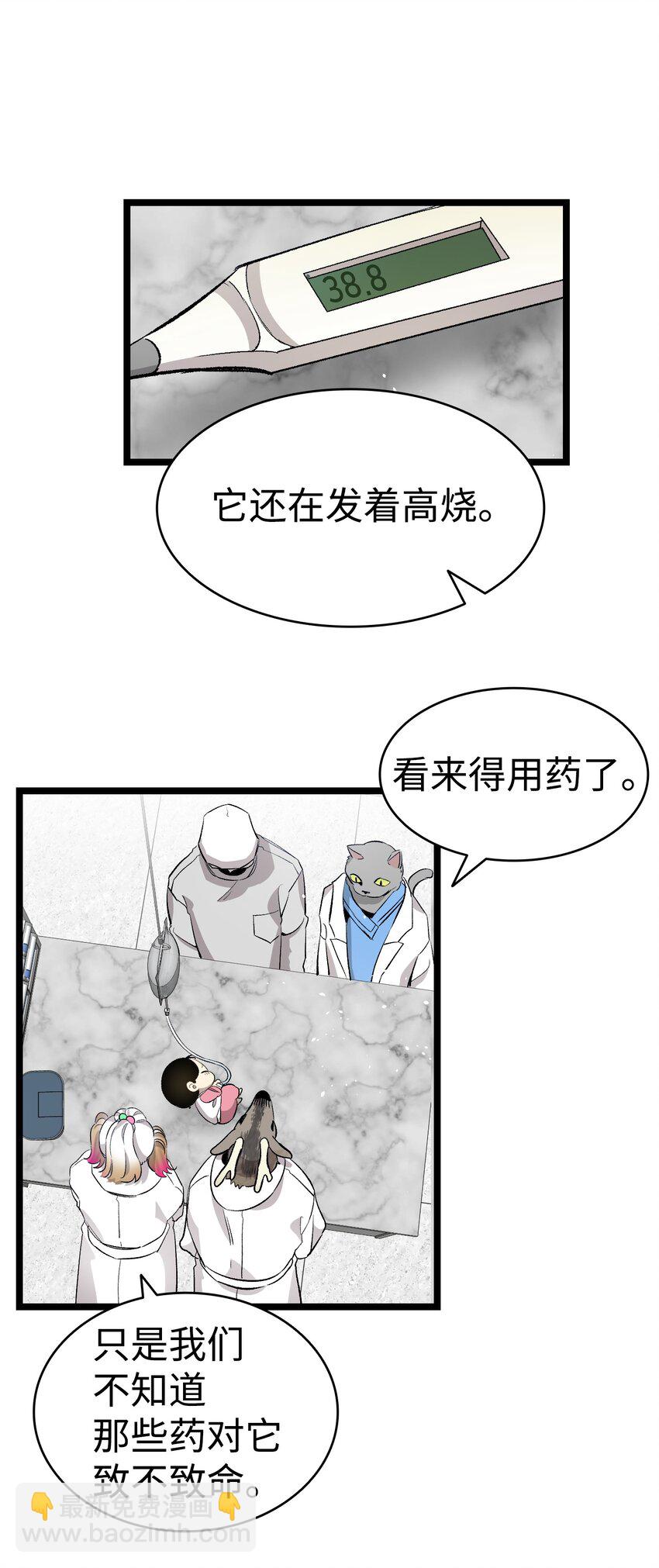 骷髏奶爸 - 149 艱難抉擇(1/2) - 7