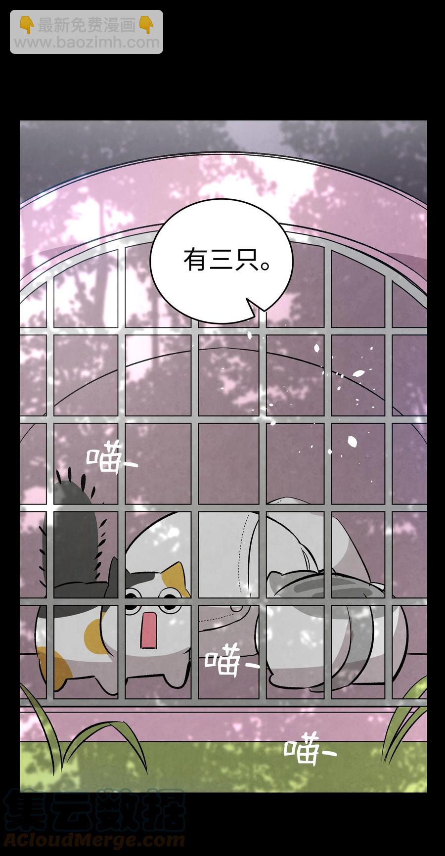 骷髏奶爸 - 97 她不是豬(2/2) - 6