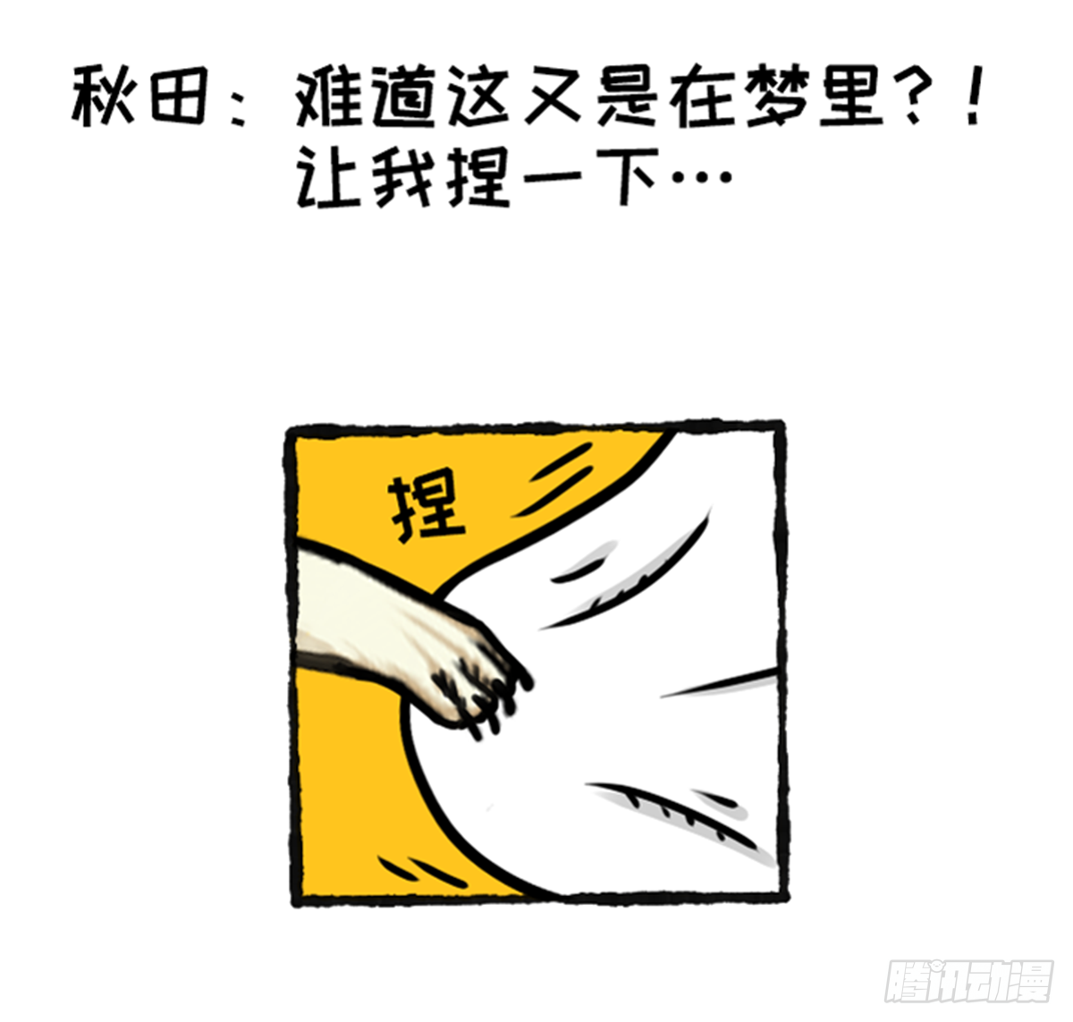 鸽鸽鸽鸽鸽鸽！-第39话