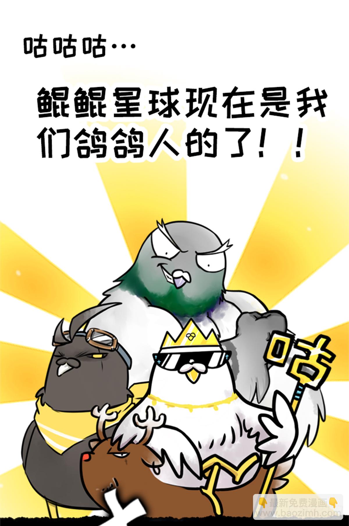 鸽鸽鸽鸽鸽鸽！-第39话
